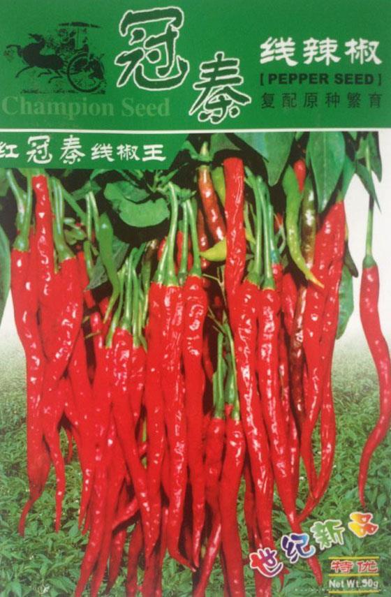 红冠秦线辣椒