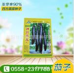 新神州黑龙茄子种子