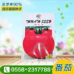西红柿种子粉色