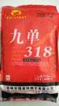 九单318高产种子