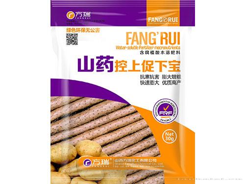 山药控上促下宝30g