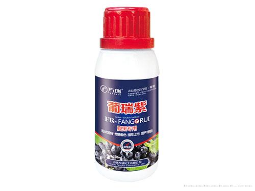 葡瑞紫-100ml