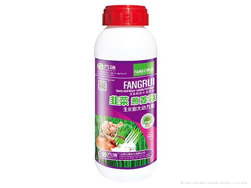 韭菜葱姜蒜500ml