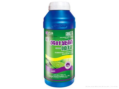 黄叶死苗一喷绿1000ml