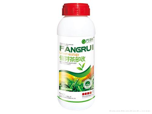 催芽茶多收500ml