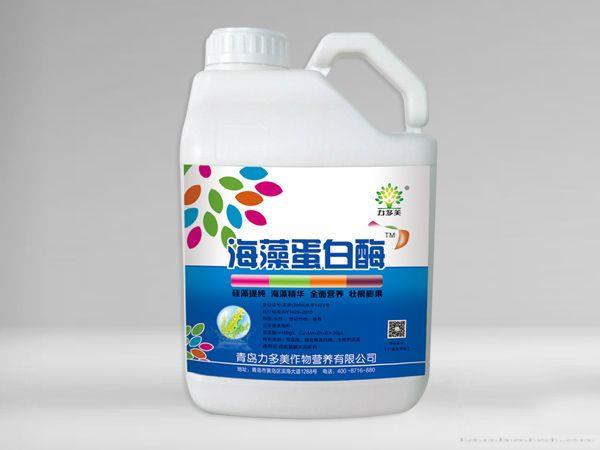 海藻蛋白酶