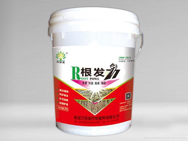 根发力