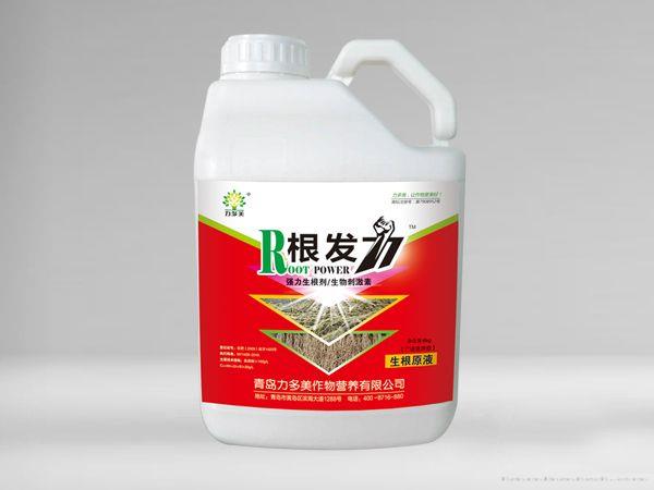 R根发力