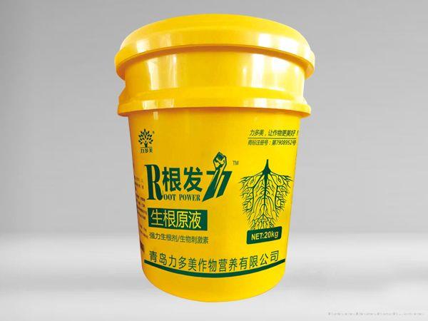 根发力