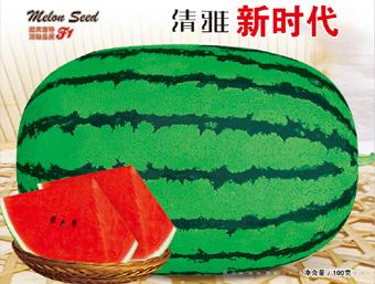 清雅新时代