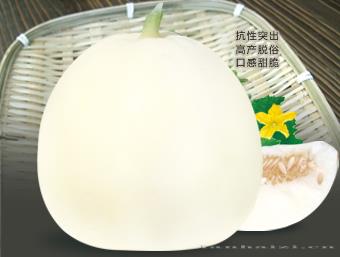 清雅1