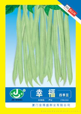 幸福四季豆