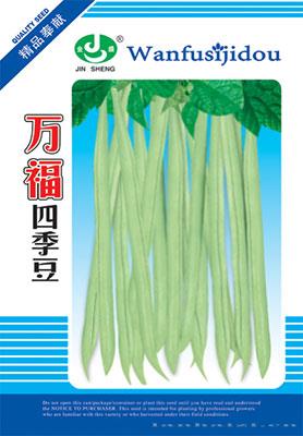 万福四季豆
