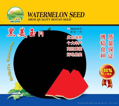 黑美玉——西瓜种子