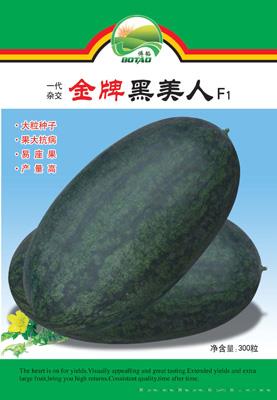 金牌黑美人——西瓜种子