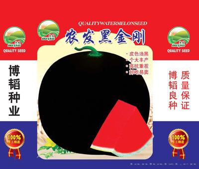 农发黑金刚——西瓜种子