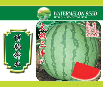 太极三丰——西瓜种子