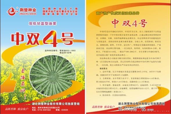 中双4号
