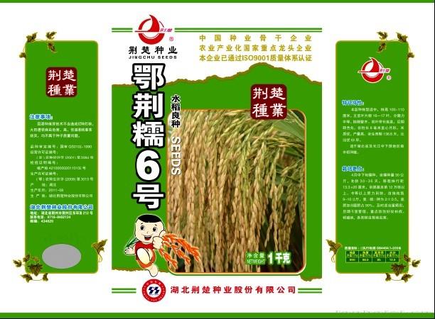 鄂荆糯6号