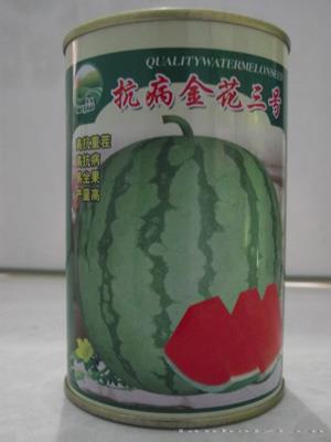 抗病金花三号——灌装品种