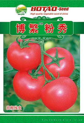 博繁粉秀——番茄种子