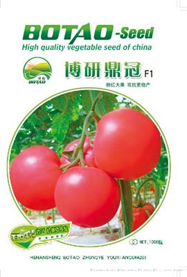 博研鼎冠F1——番茄种子