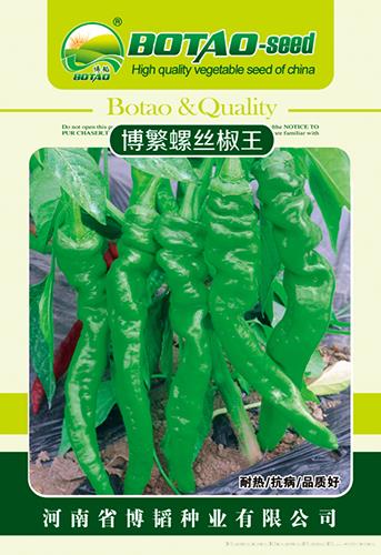 博繁螺丝椒王——辣椒种子