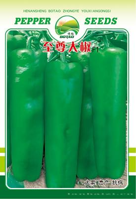 至尊大椒F1——辣椒种子
