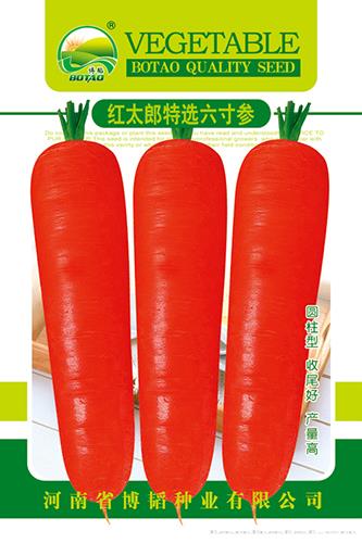 红太郎特选六寸参——萝卜种子