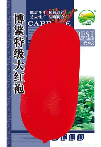 博繁特级大红袍——萝卜种子