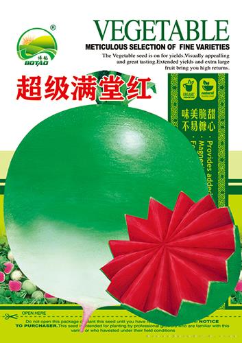 超级满堂红——萝卜种子