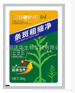 知青条斑粗缩净