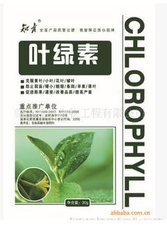 叶绿素 含氨基酸叶面肥