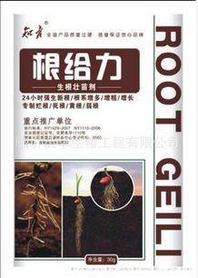 生根壮苗剂 根给力 含氨基酸叶面肥