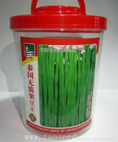 泰国无筋架豆王