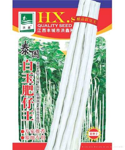 泰国白玉肥仔王