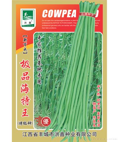 极品海特王