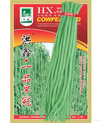 洪鑫一品早冠