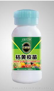枯黄疫苗