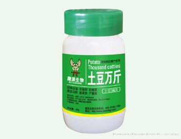 土豆万斤