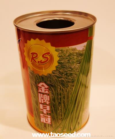 金牌早冠