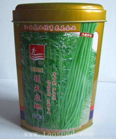 顶天立地