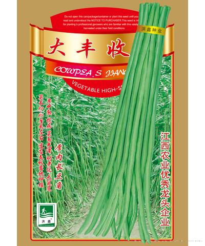 大丰收