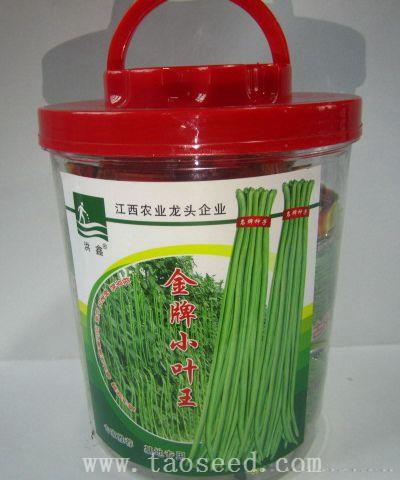 金牌小叶王