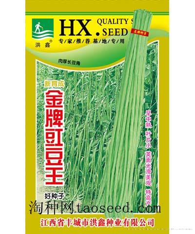 金牌豇豆王