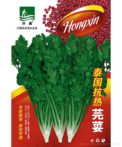 泰国抗热芫荽