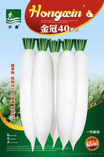 金冠40