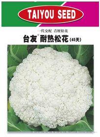 台友耐热45天