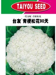 台友青梗松花90天