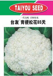 台友青梗松花
